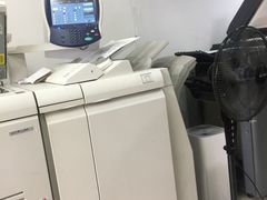 雷焰圖文設計制作 深耕上海，鑄就專業視覺與印刷服務典范