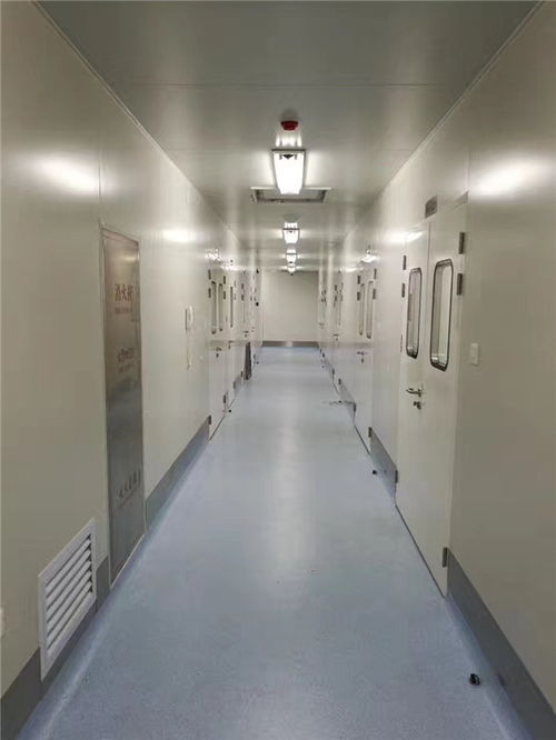 保定凈化工程 晴朗凈化 食品車間凈化工程